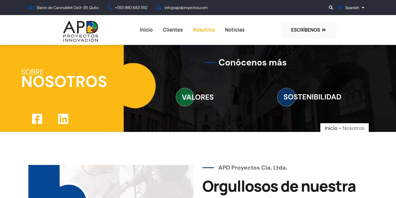 APD Proyectos